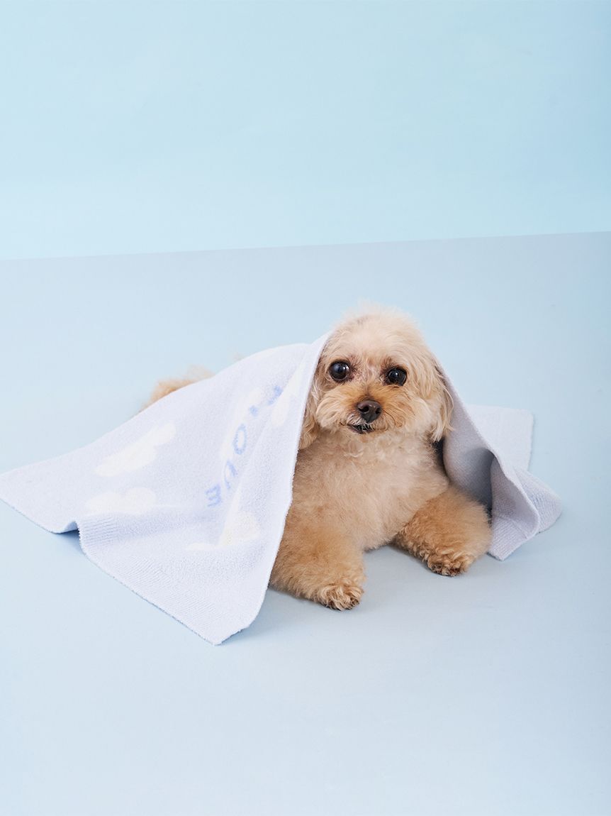  GELATO PIQUE CAT&DOG「【CAT&DOG】スムーズィーフラワージャガードブランケット」|その他|