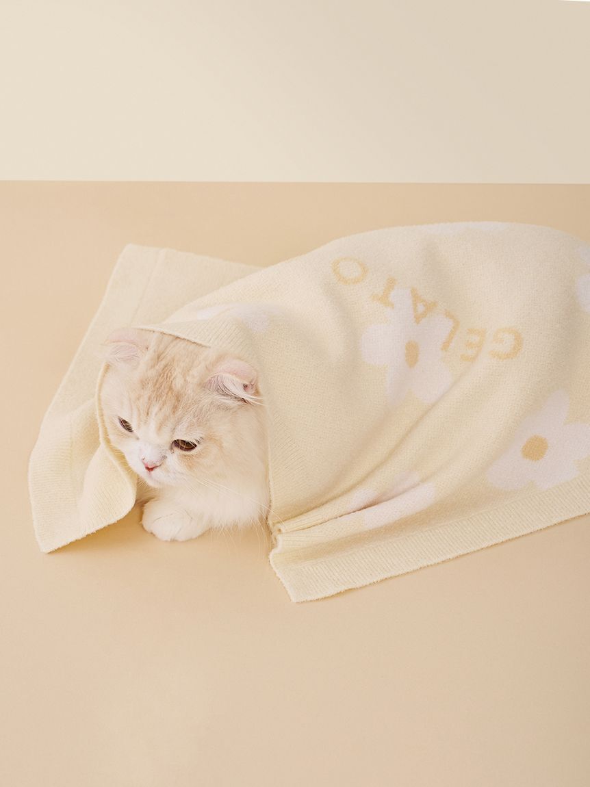  GELATO PIQUE CAT&DOG「【CAT&DOG】スムーズィーフラワージャガードブランケット」|その他|
