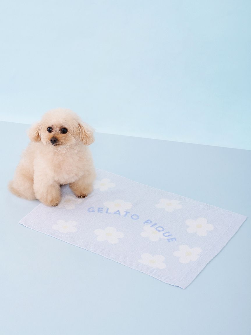  GELATO PIQUE CAT&DOG「【CAT&DOG】スムーズィーフラワージャガードブランケット」|その他|