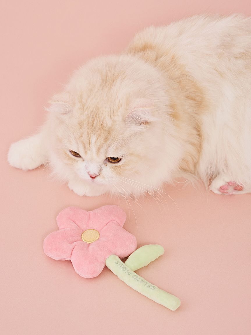  GELATO PIQUE CAT&DOG「【CAT&DOG】スプリングモチーフトイ」|その他|PNK
