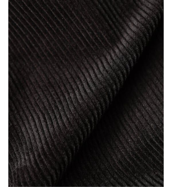 JOURNAL STANDARD relume「コーデュロイ スタンドカラー ジップブルゾン」|その他|