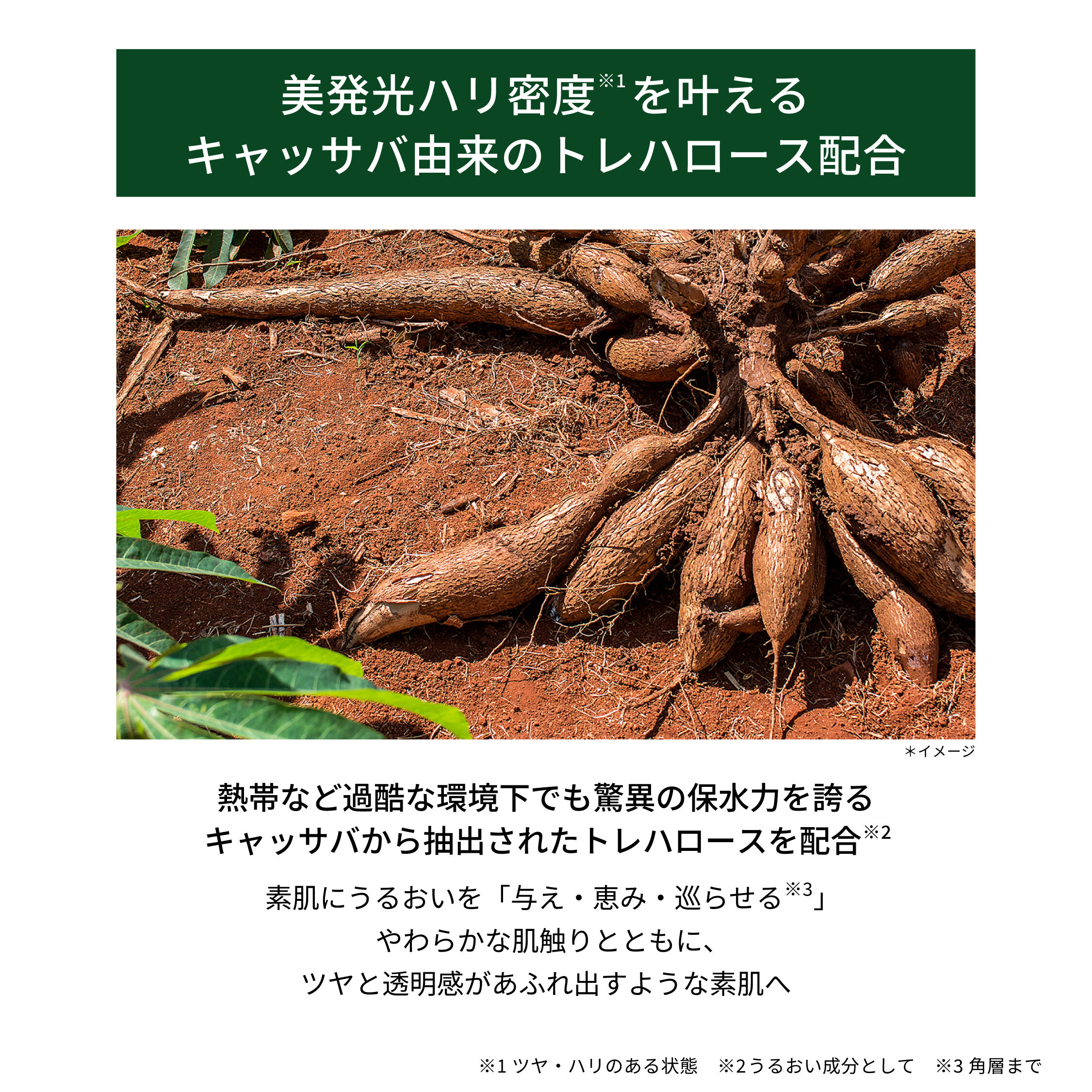 ORBIS「ORBIS クリーンエンス ハイドライルミネイティング アドバンスド セラム　　30mL」|美容液・オイル・クリーム|