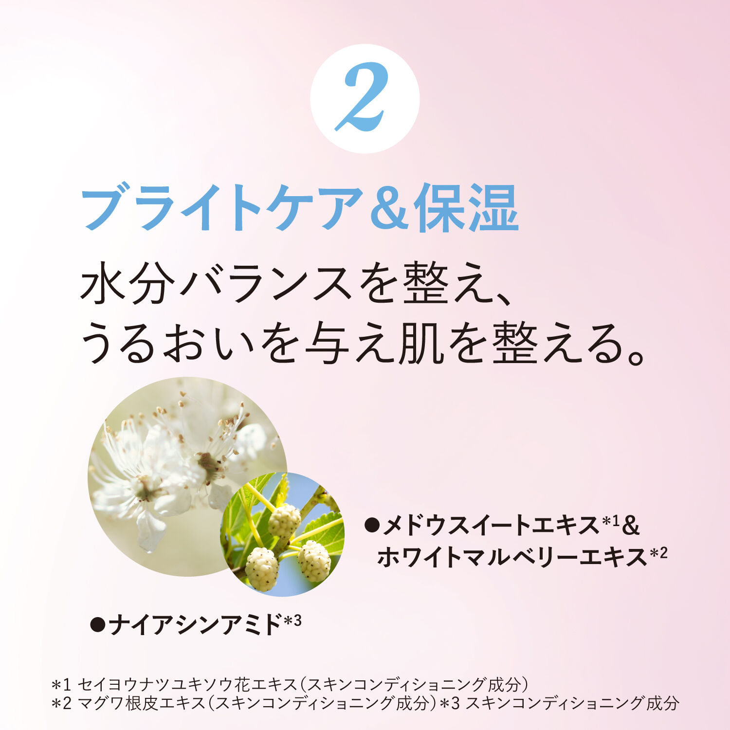 L&rsquo;OCCITANE「レーヌデプレ ラディアントフェイスウォーター」|化粧水|