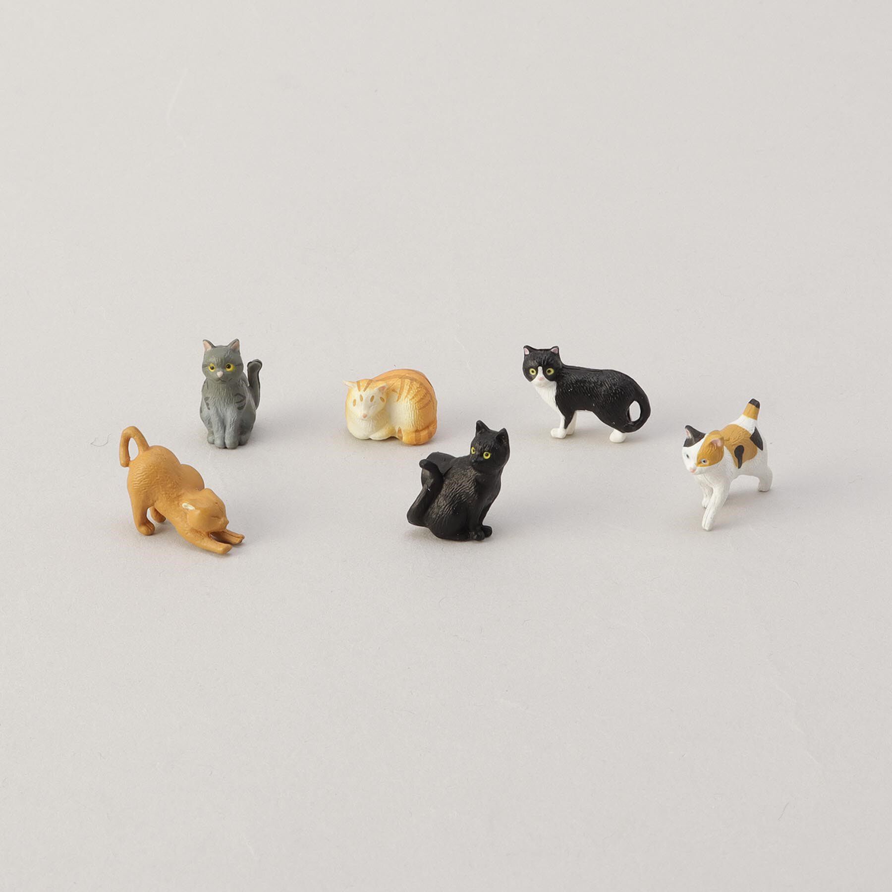 212 KITCHEN STORE「ミニマグネット　６個入　ネコ柄Ｃ」|その他|その他