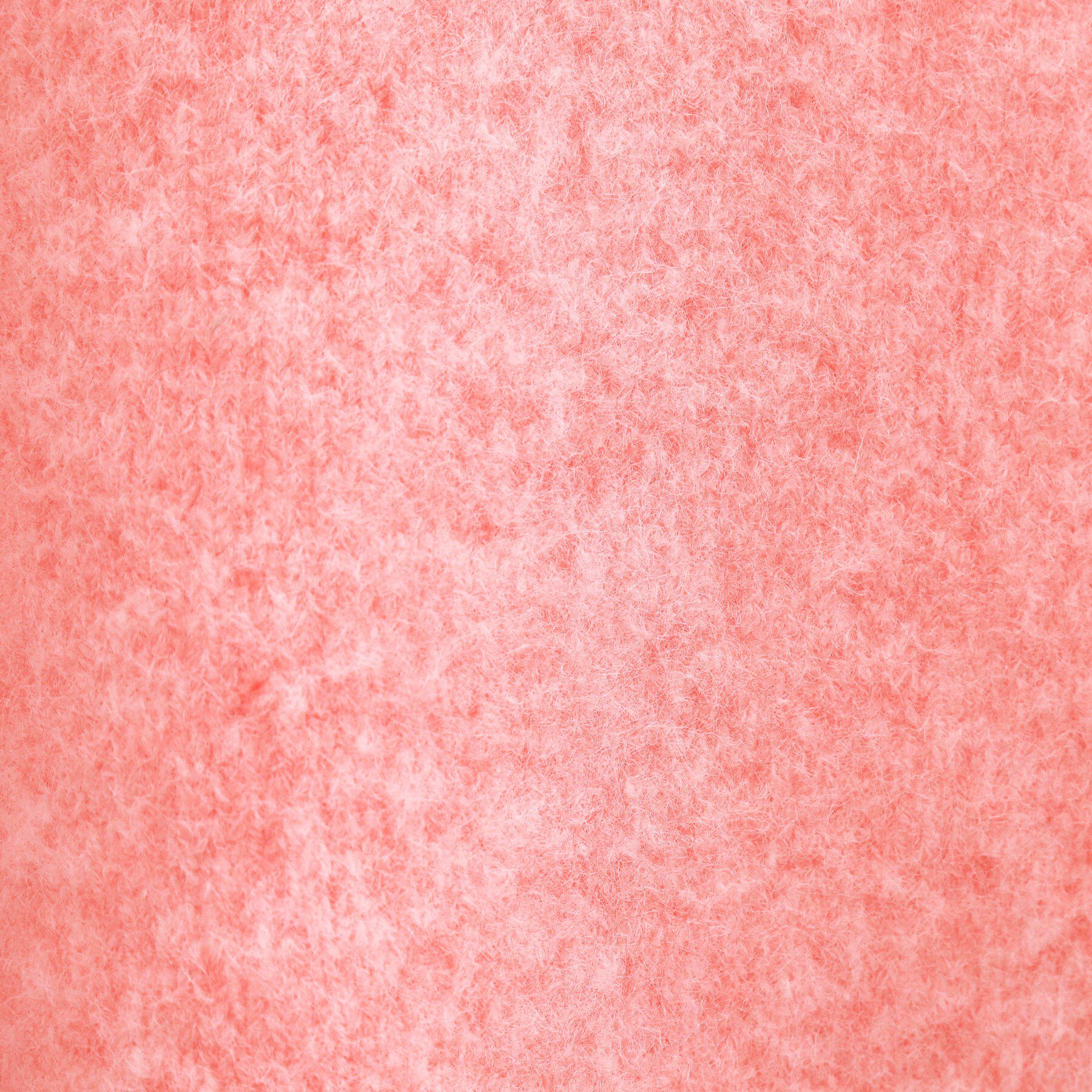 OPAQUE.CLIP「ふわふわハイネックニット【洗濯機OK】」|ニット・セーター|