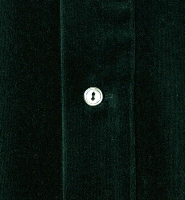 BEAUTY&YOUTH UNITED ARROWS「＜LACOSTE for BEAUTY&YOUTH＞ ベロア ポロシャツ」|Tシャツ・カットソー|