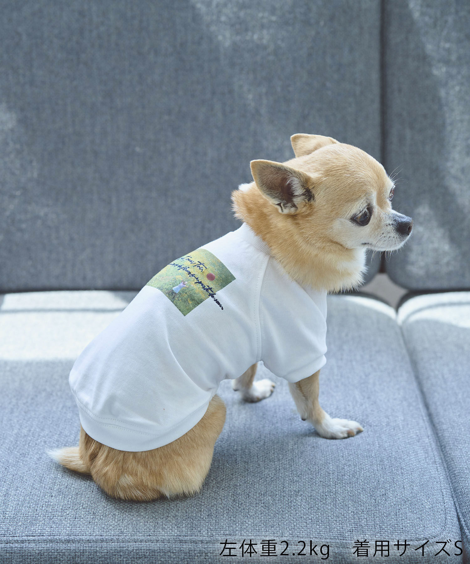 ROPE PICNIC PASSAGE「【DOG】RENU/PHOTO＆LOGOTシャツ/リンクコーデ」|その他|