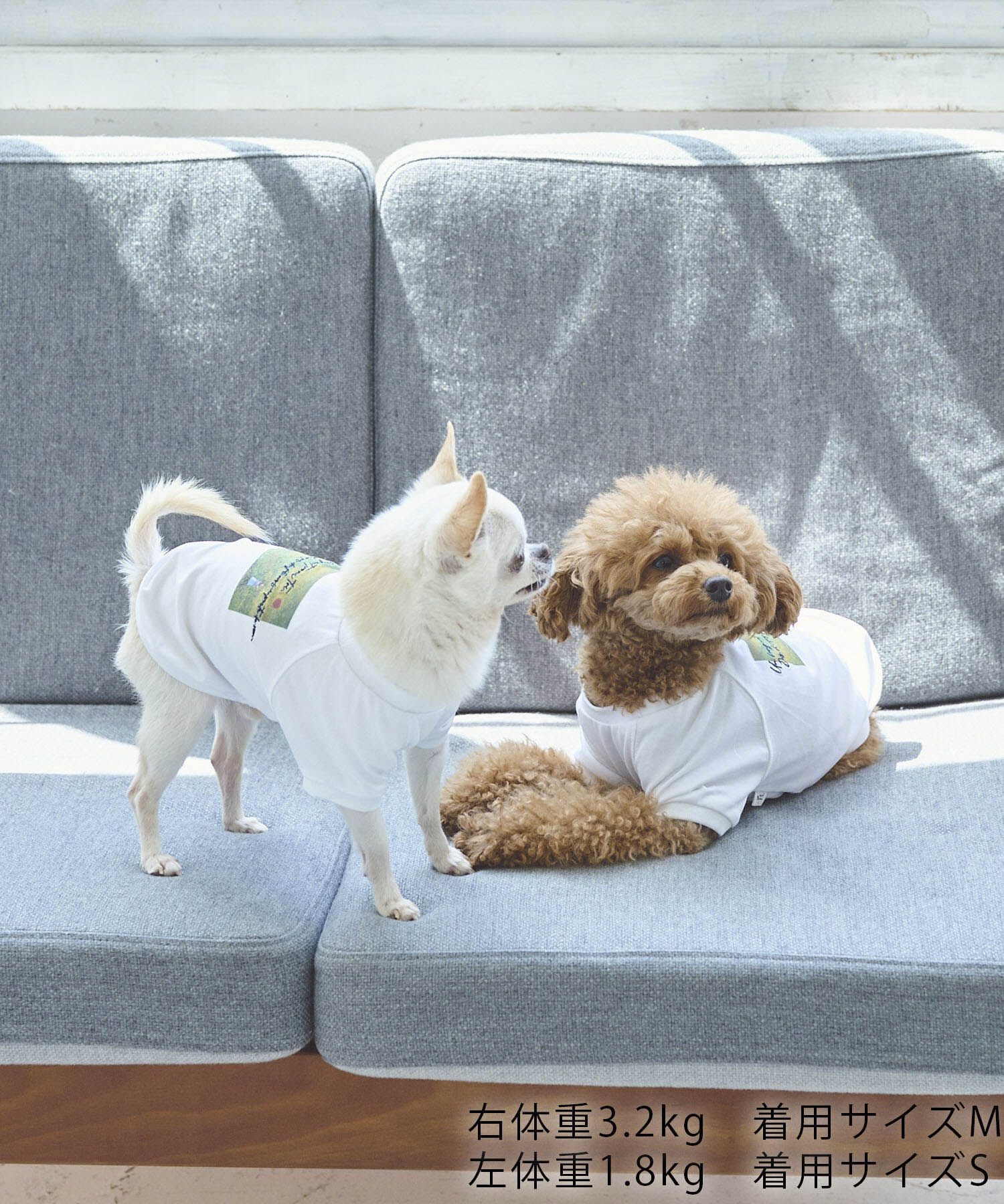 ROPE PICNIC PASSAGE「【DOG】RENU/PHOTO＆LOGOTシャツ/リンクコーデ」|その他|