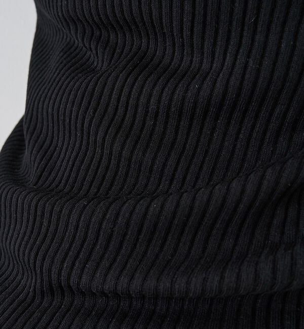 Rouge vif「防縮Wシアーポロリブニット【予約】」|ニット・セーター|