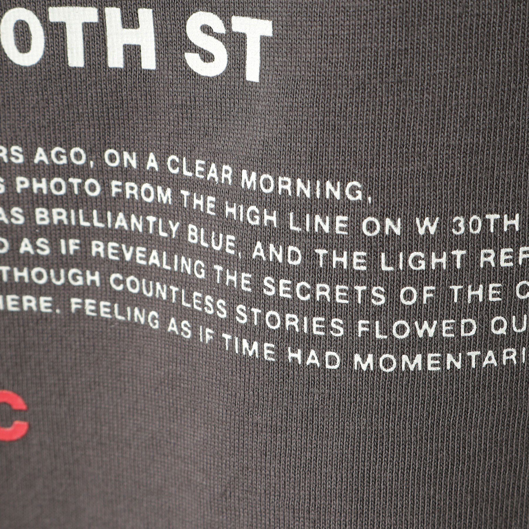 Dessin「【リンクコーデ・洗える】フォトプリントロングスリーブTシャツ」|Tシャツ・カットソー|