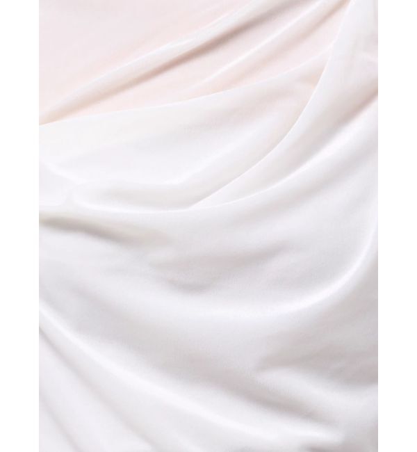 dazzlin「チョーカー付ドレープシアーベロアトップス」|Tシャツ・カットソー|