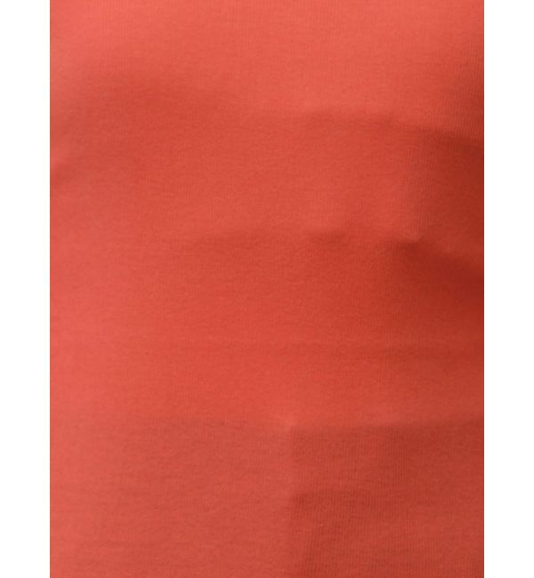 Ungrid「シアーフィットロングスリーブTee」|Tシャツ・カットソー|