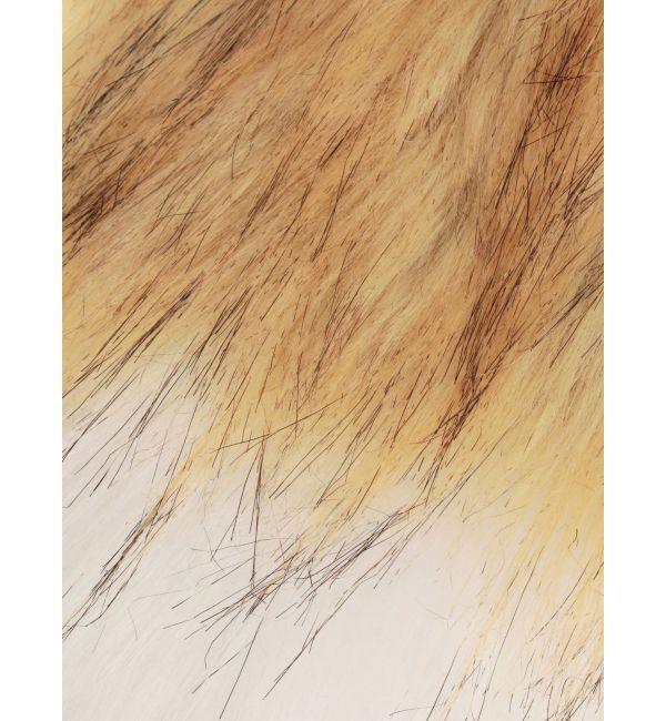 EVRIS「BIGフェイクファーしっぽチャーム」|チャーム・キーホルダー|