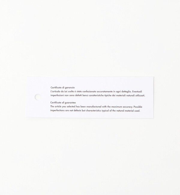 UNITED ARROWS「＜GIANNI CHIARINI＞CAMILLA MET バッグ」|ハンドバッグ|