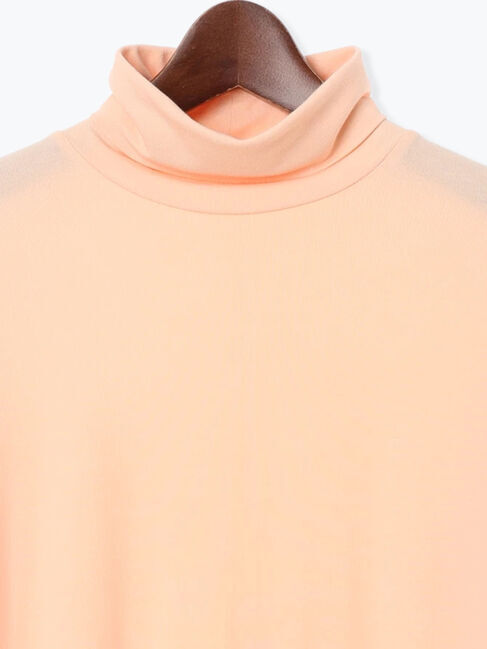 Te chichi「吸湿発熱タートルネックカットソー《2025winter catalog item》」|Tシャツ・カットソー|