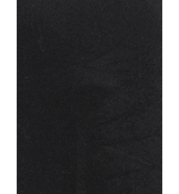 Ungrid「シアーベロアハイネックロングスリーブTee」|Tシャツ・カットソー|