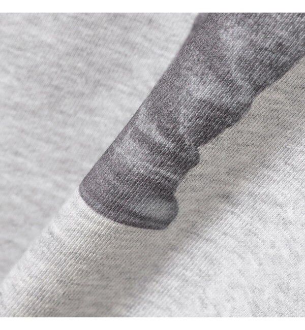 Ray BEAMS 「Lee / PRINT SWEAT」|スウェット・ジャージ|