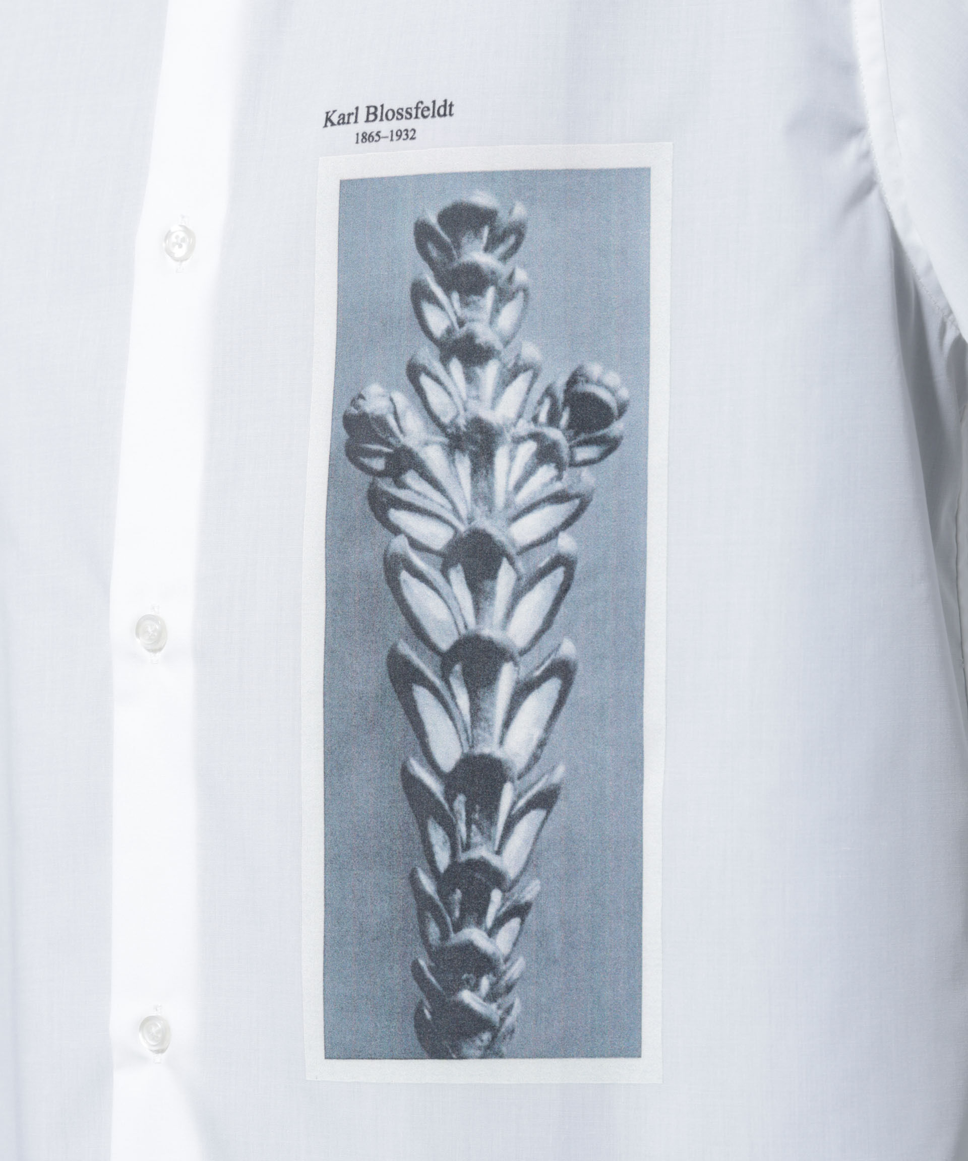 nano･universe「「着るアート」karl blossfeldt 半袖シャツ3」|シャツ・ブラウス|