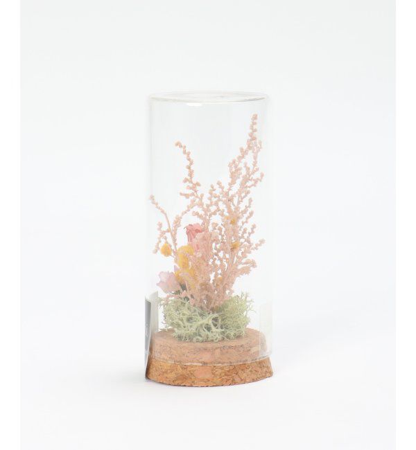 Lbc with Life「ミモザコルクブーケ S」|その他|