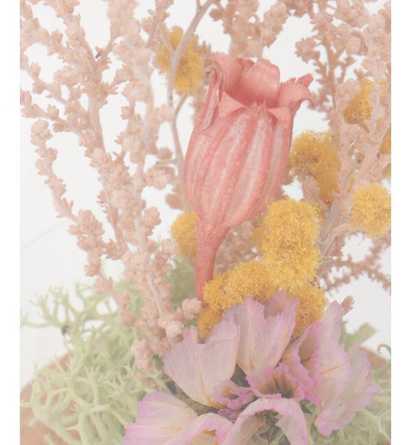 Lbc with Life「ミモザコルクブーケ S」|その他|