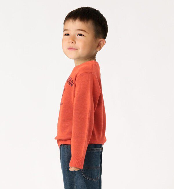 SHIPS Colors 「SHIPS Colors:100～130cm/TeddyBear(R) ジャカード ニット◇」|ニット・セーター|