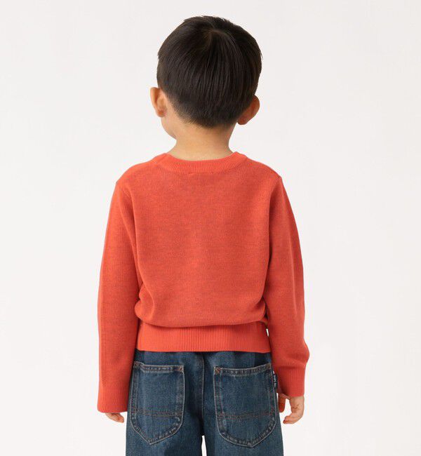 SHIPS Colors 「SHIPS Colors:100～130cm/TeddyBear(R) ジャカード ニット◇」|ニット・セーター|