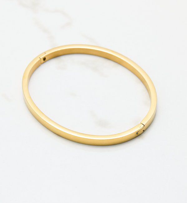  「【PAPILLONNER/パピヨネ】ステンレスバングル」|リング|