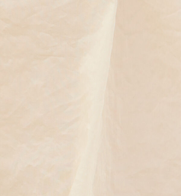 Rouge vif「シースルーブラウス」|シャツ・ブラウス|