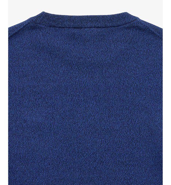 LACOSTE「サスティナブルニットTシャツ」|Tシャツ・カットソー|