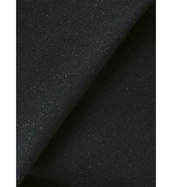 GYDA「GYDAラメフレアパンツ【SETUP着用可】」|その他|