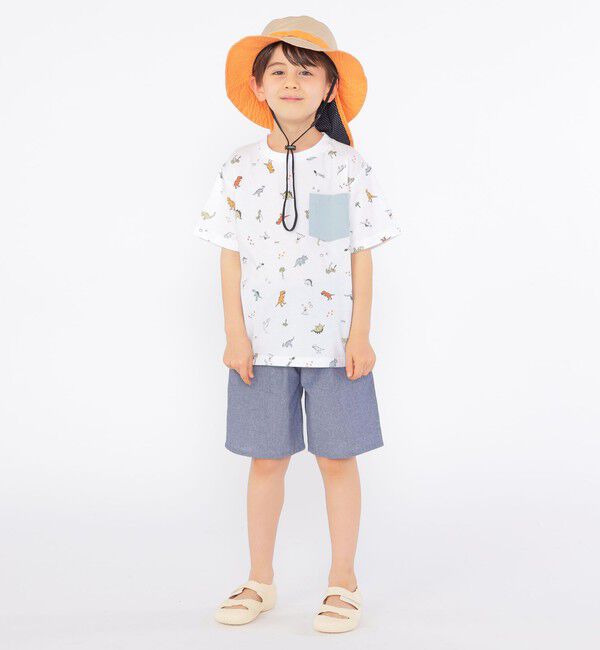SHIPS KIDS「SHIPS KIDS:100～130cm / デイリー ショーツ」|その他|