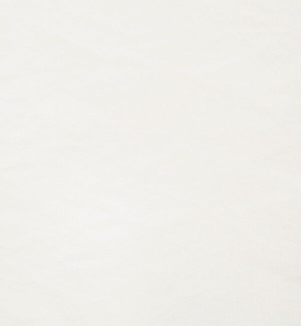 NOLLEY'S sophi「ウォッシャブルオーガンジーフリルブラウス」|シャツ・ブラウス|