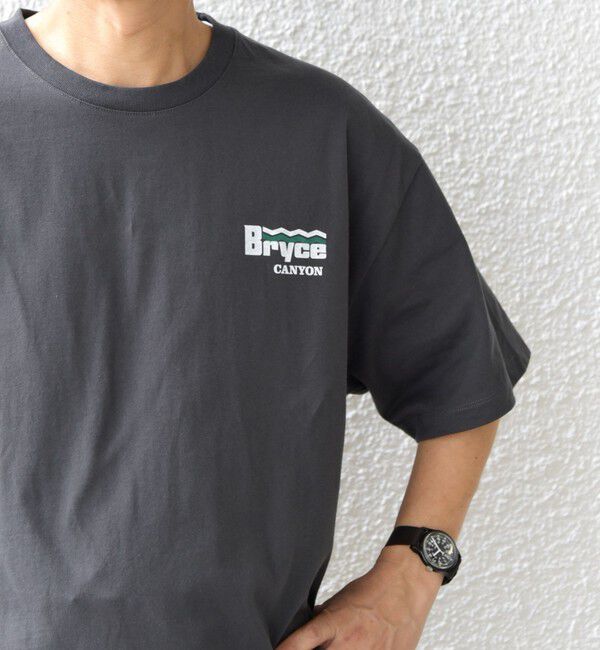 SHIPS any「【WEB限定】SHIPS any: NATIONAL PARK ヴィンテージライク ワンポイント プリント Tシャツ◇」|Tシャツ・カットソー|