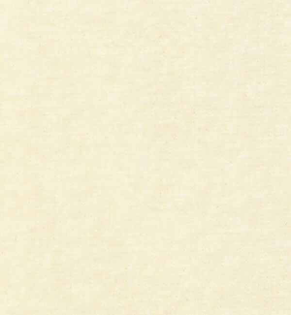 DES PRES「 ブライトベロア タイトマキシスカート」|タイト|