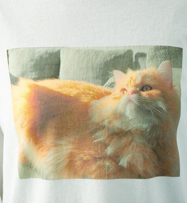  「CATフォトロンT」|Tシャツ・カットソー|