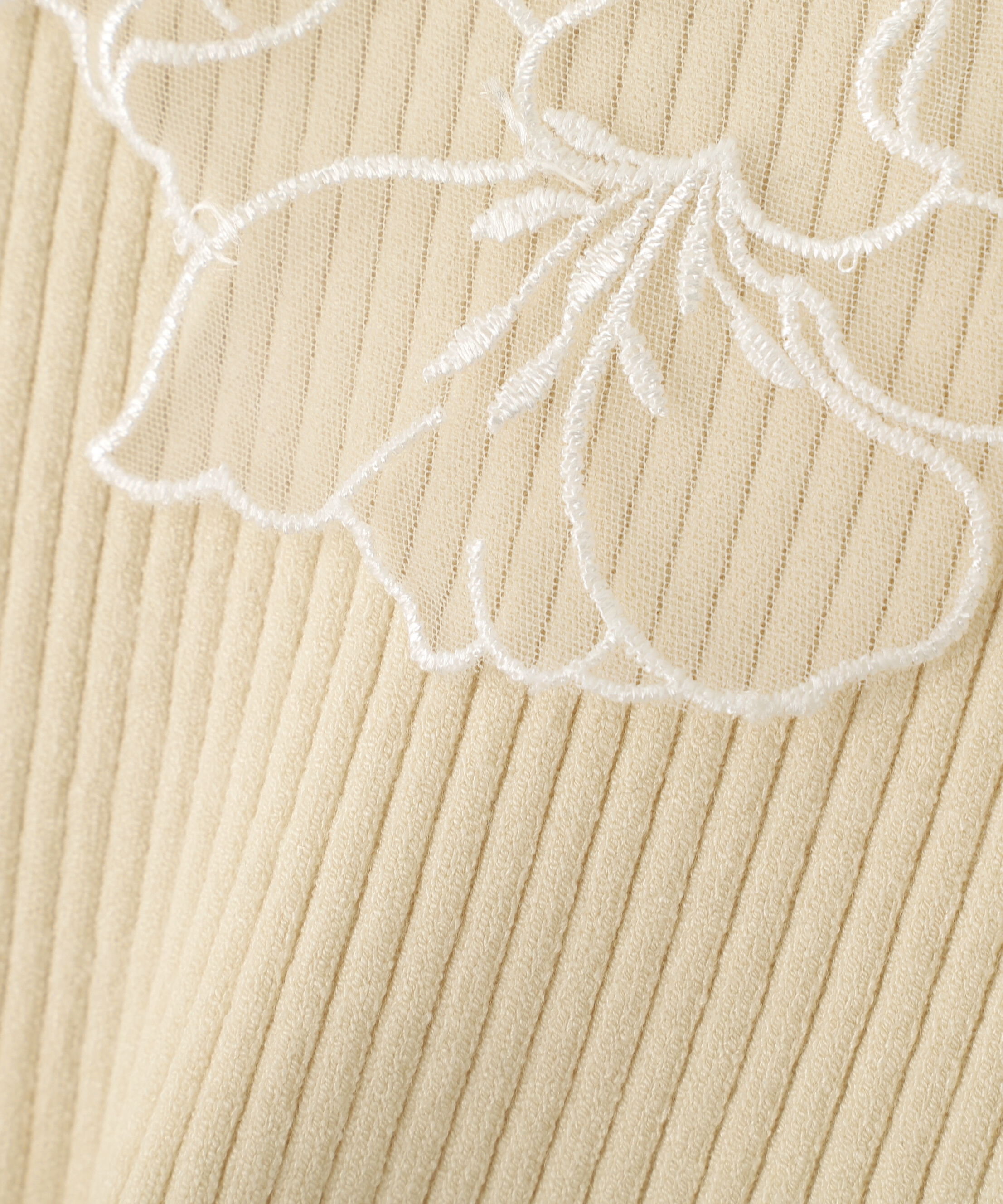  「レース襟コンパクトリブニット」|ニット・セーター|