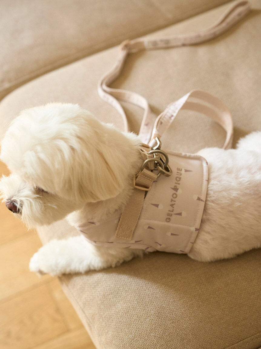  GELATO PIQUE CAT&DOG「【CAT&DOG】【販路限定商品】モチーフ柄リード」|その他|