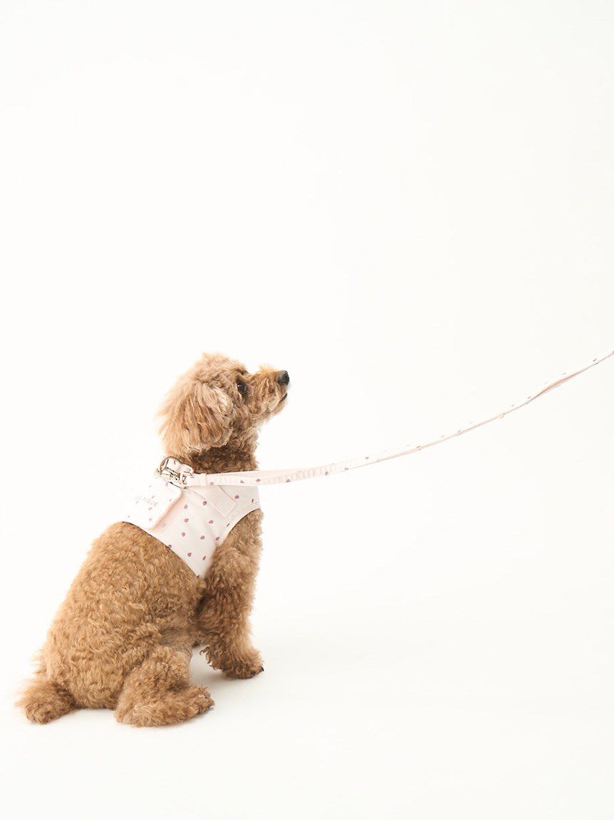  GELATO PIQUE CAT&DOG「【CAT&DOG】【販路限定商品】モチーフ柄ハーネス」|その他|