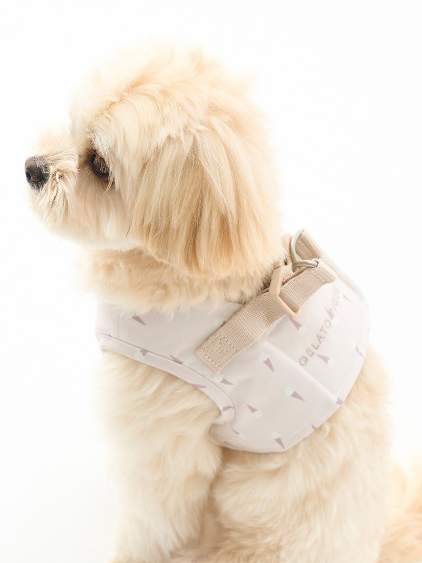  GELATO PIQUE CAT&DOG「【CAT&DOG】【販路限定商品】モチーフ柄ハーネス」|その他|