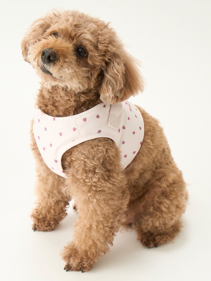  GELATO PIQUE CAT&DOG「【CAT&DOG】【販路限定商品】モチーフ柄ハーネス」|その他|