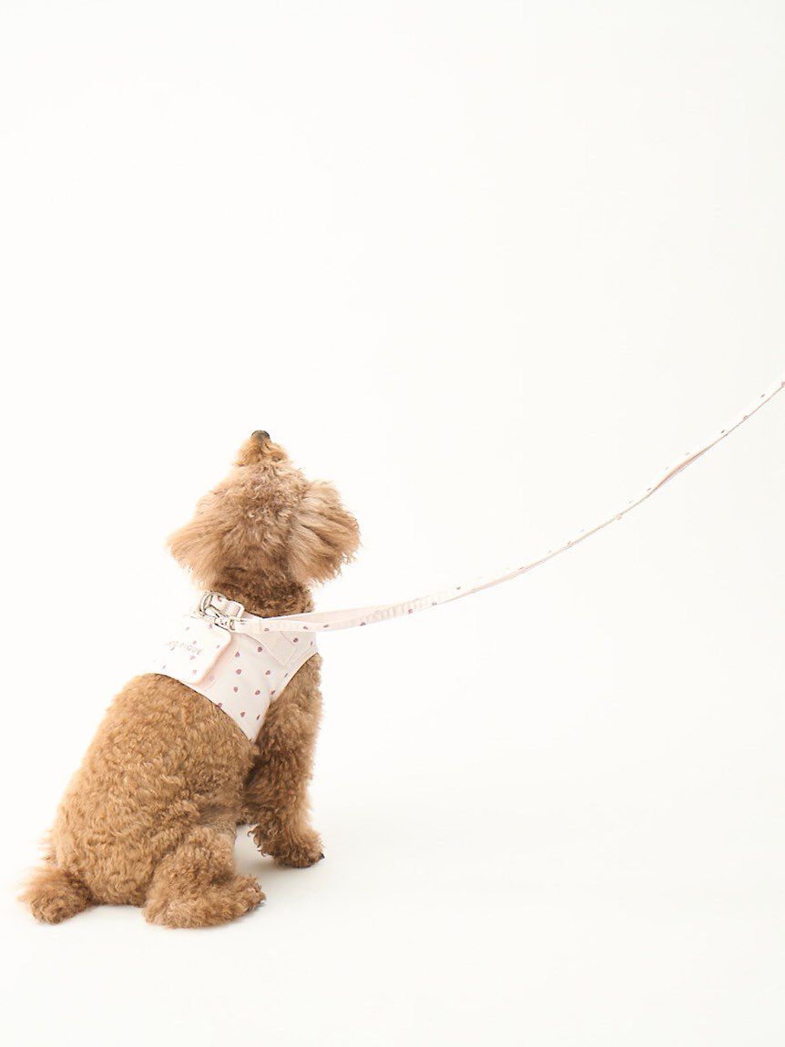  GELATO PIQUE CAT&DOG「【CAT&DOG】【販路限定商品】モチーフ柄ハーネス」|その他|