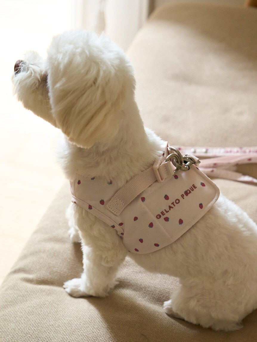  GELATO PIQUE CAT&DOG「【CAT&DOG】【販路限定商品】モチーフ柄ハーネス」|その他|PNK