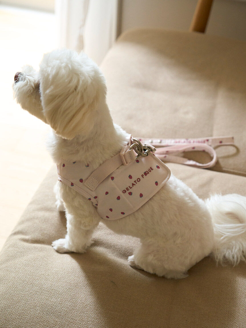  GELATO PIQUE CAT&DOG「【CAT&DOG】【販路限定商品】モチーフ柄ハーネス」|その他|