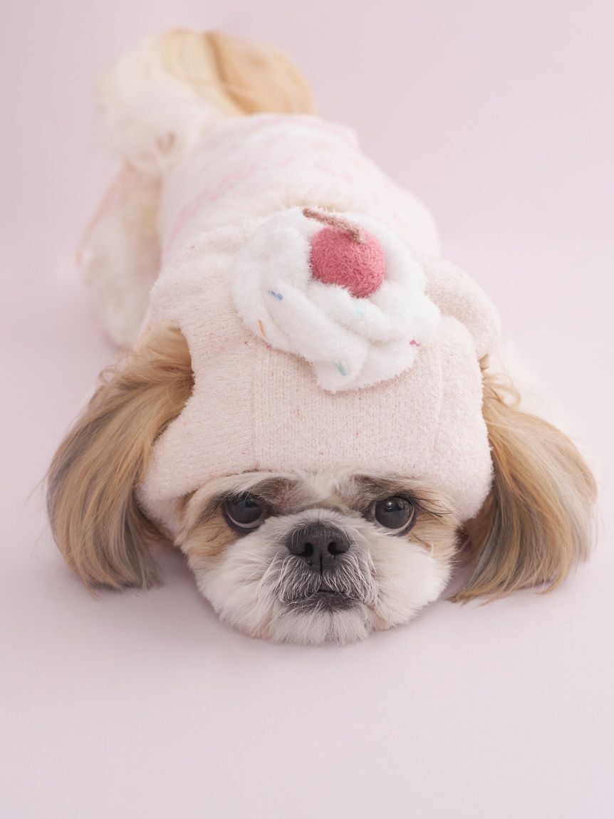  GELATO PIQUE CAT&DOG「【CAT&DOG】【Birthday】スムーズィーカップケーキジャガードプルオーバー」|その他|