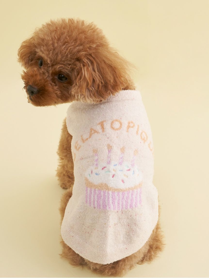  GELATO PIQUE CAT&DOG「【CAT&DOG】【Birthday】スムーズィーカップケーキジャガードプルオーバー」|その他|