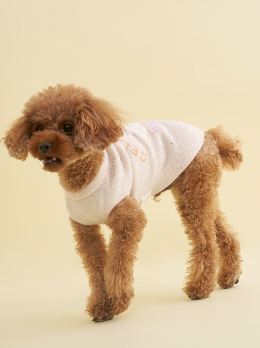  GELATO PIQUE CAT&DOG「【CAT&DOG】【Birthday】スムーズィーカップケーキジャガードプルオーバー」|その他|