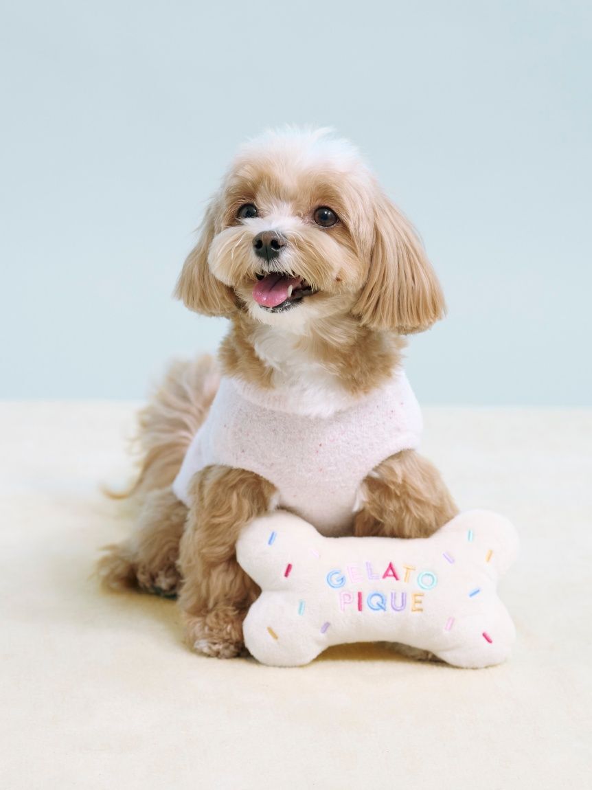  GELATO PIQUE CAT&DOG「【CAT&DOG】【Birthday】スムーズィーカップケーキジャガードプルオーバー」|その他|