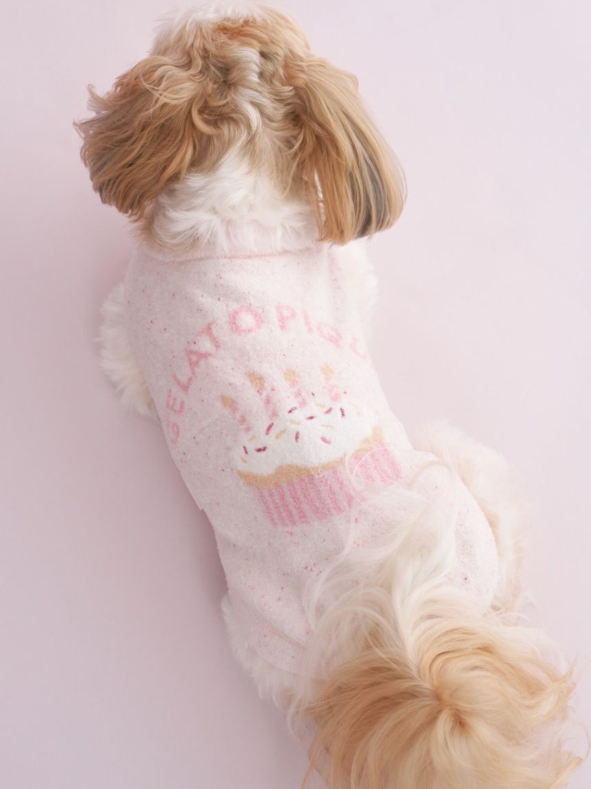  GELATO PIQUE CAT&DOG「【CAT&DOG】【Birthday】スムーズィーカップケーキジャガードプルオーバー」|その他|
