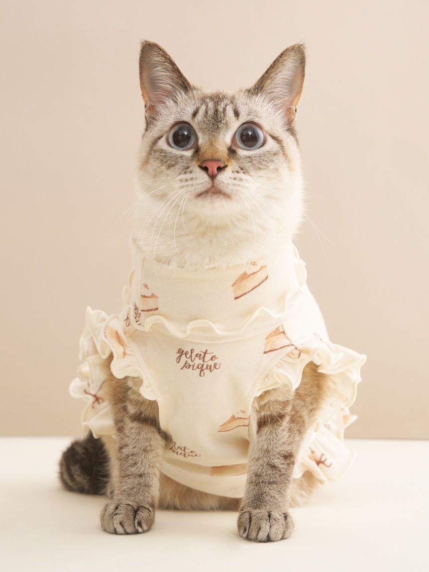  GELATO PIQUE CAT&DOG「【CAT&DOG】オータムケーキ柄プルオーバー」|その他|CRM