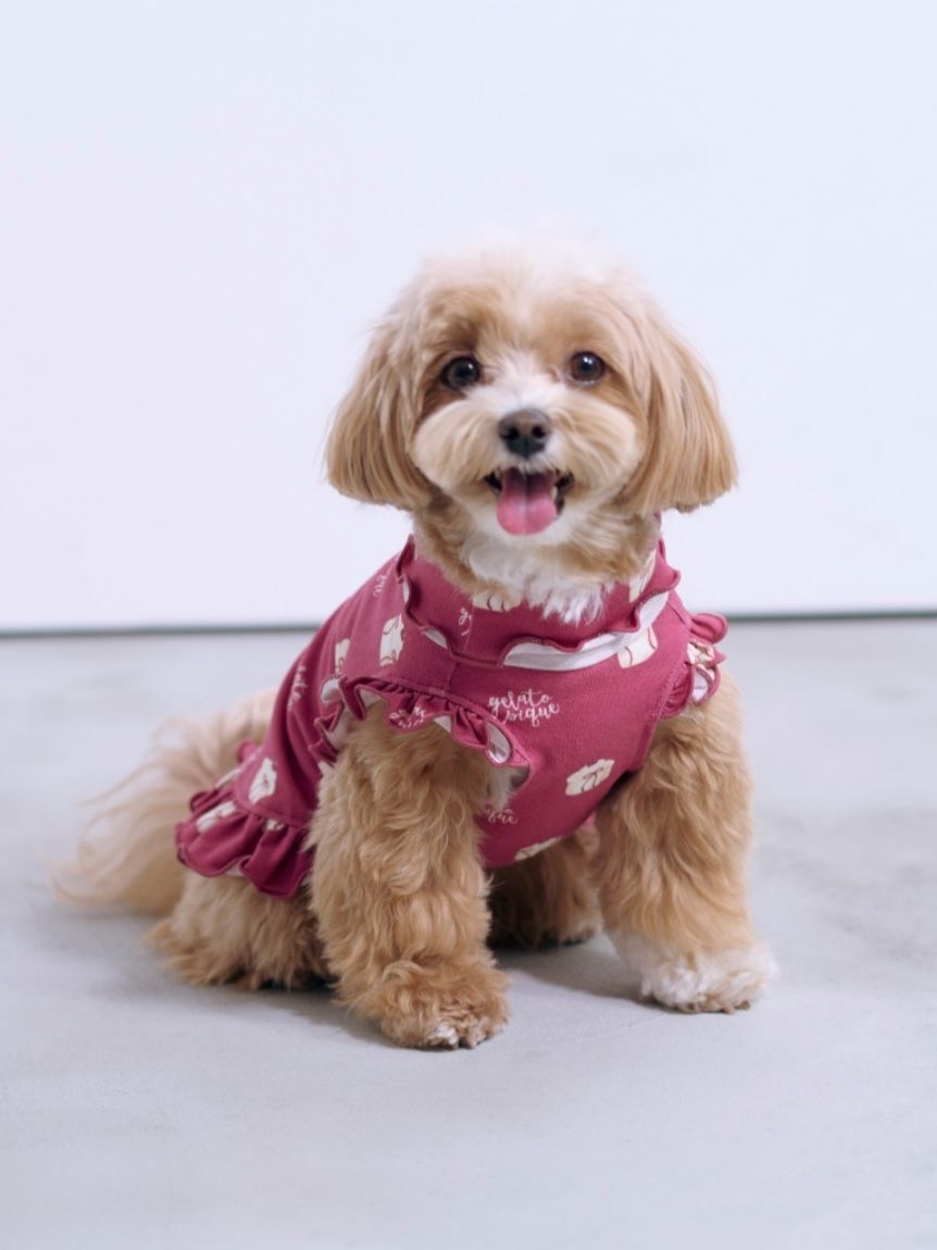  GELATO PIQUE CAT&DOG「【CAT&DOG】オータムケーキ柄プルオーバー」|その他|